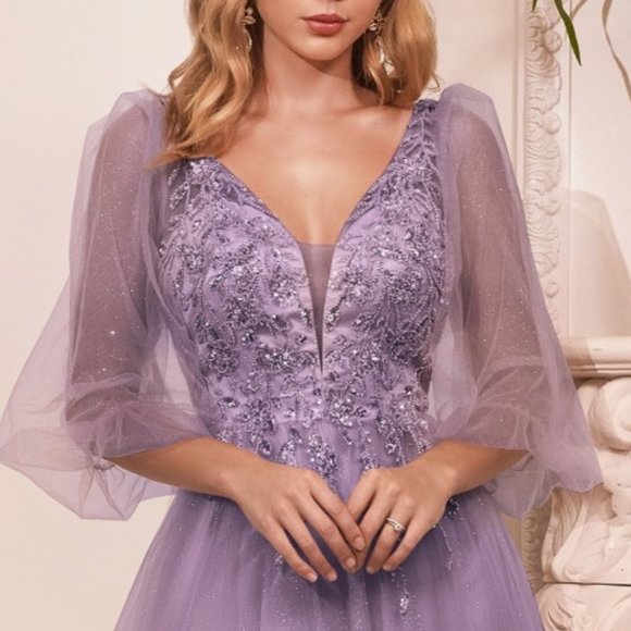 Cinderella Dresses & Skirts - ENGLISH VIOLET PROM PARTY PUFFY SLEEVES A-LINE GLITTER TULLE A-LINE DRESS cd0182